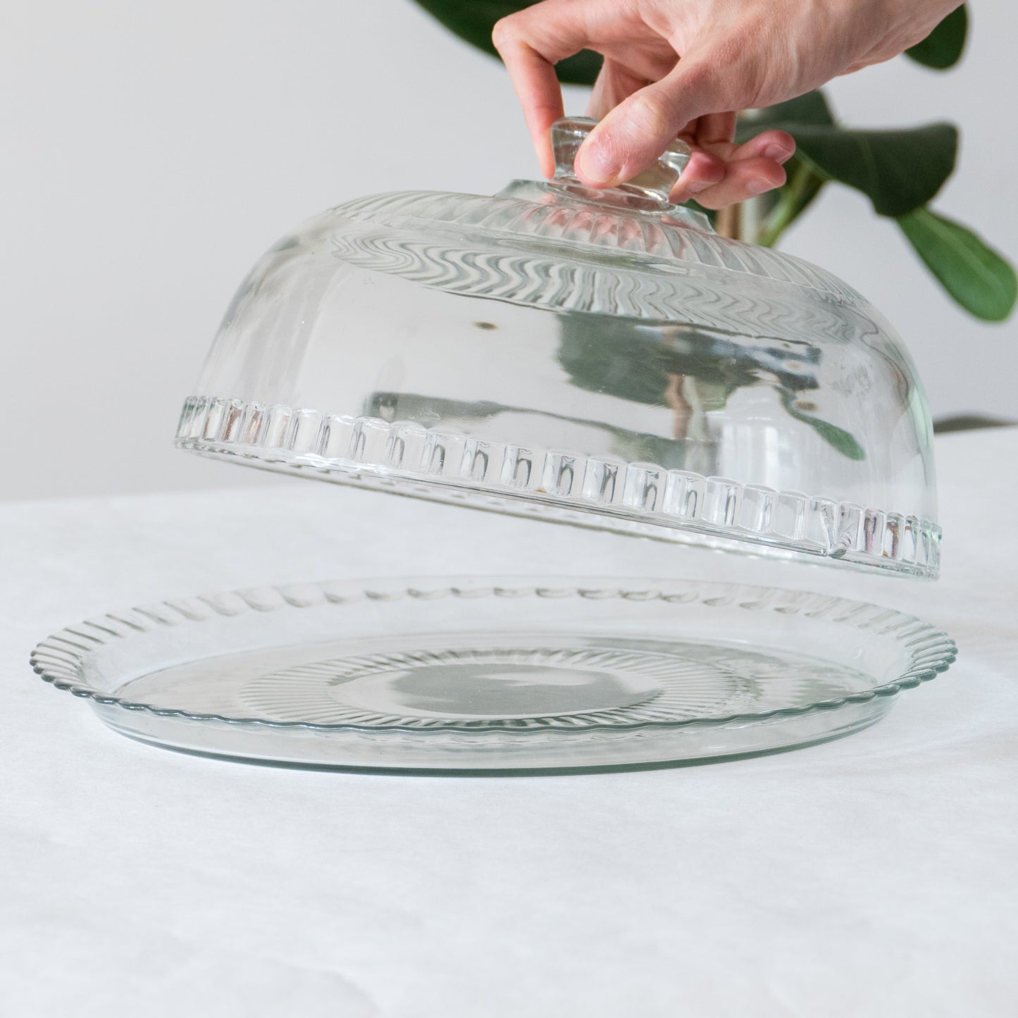 Plateau à cloche en verre