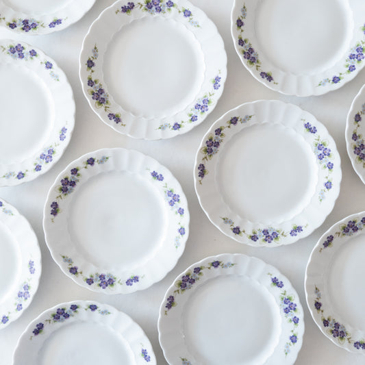 10 assiettes à dessert en porcelaine de Bavière Eschenbach violettes