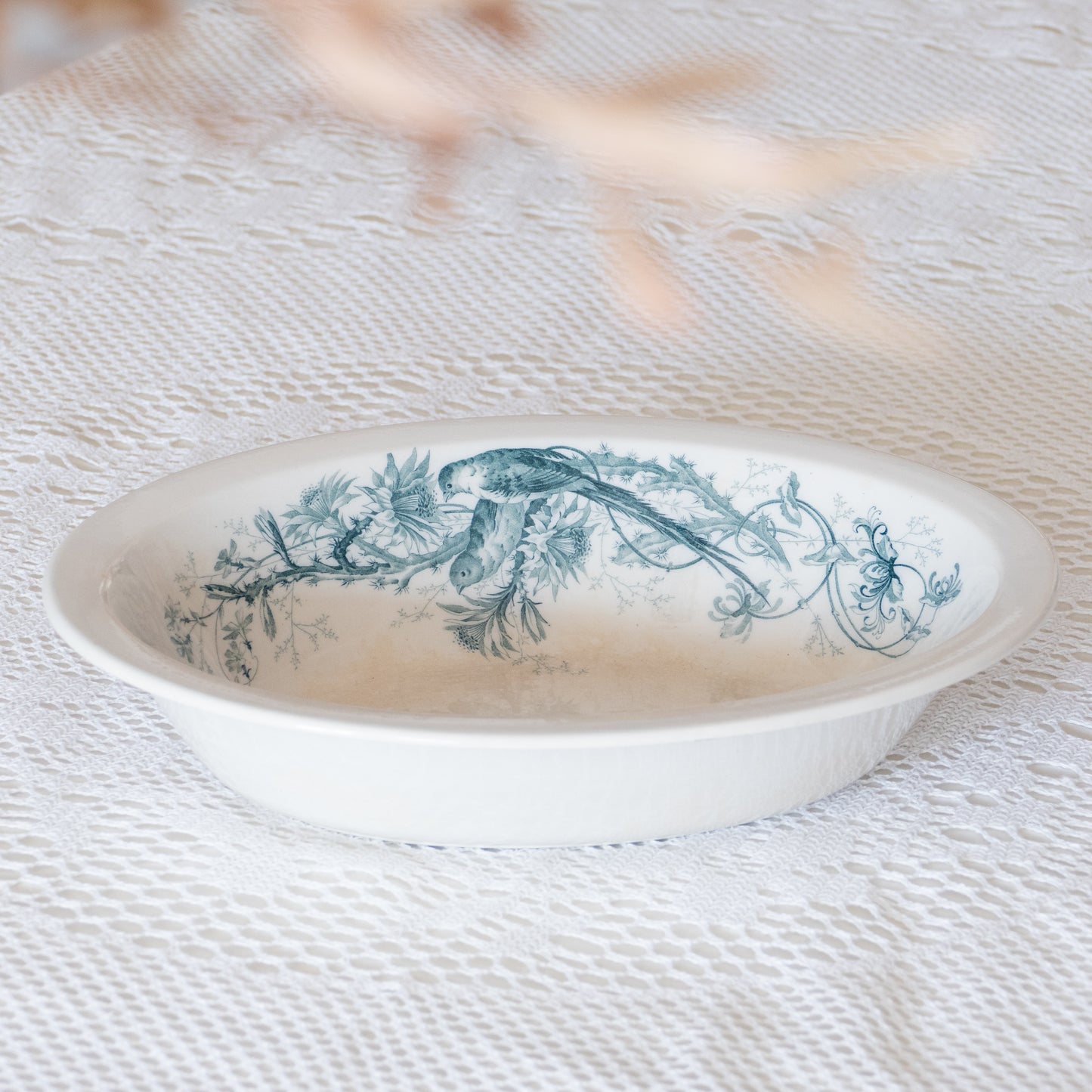 Plat creux terre de fer Villeroy & Boch - décor oiseaux