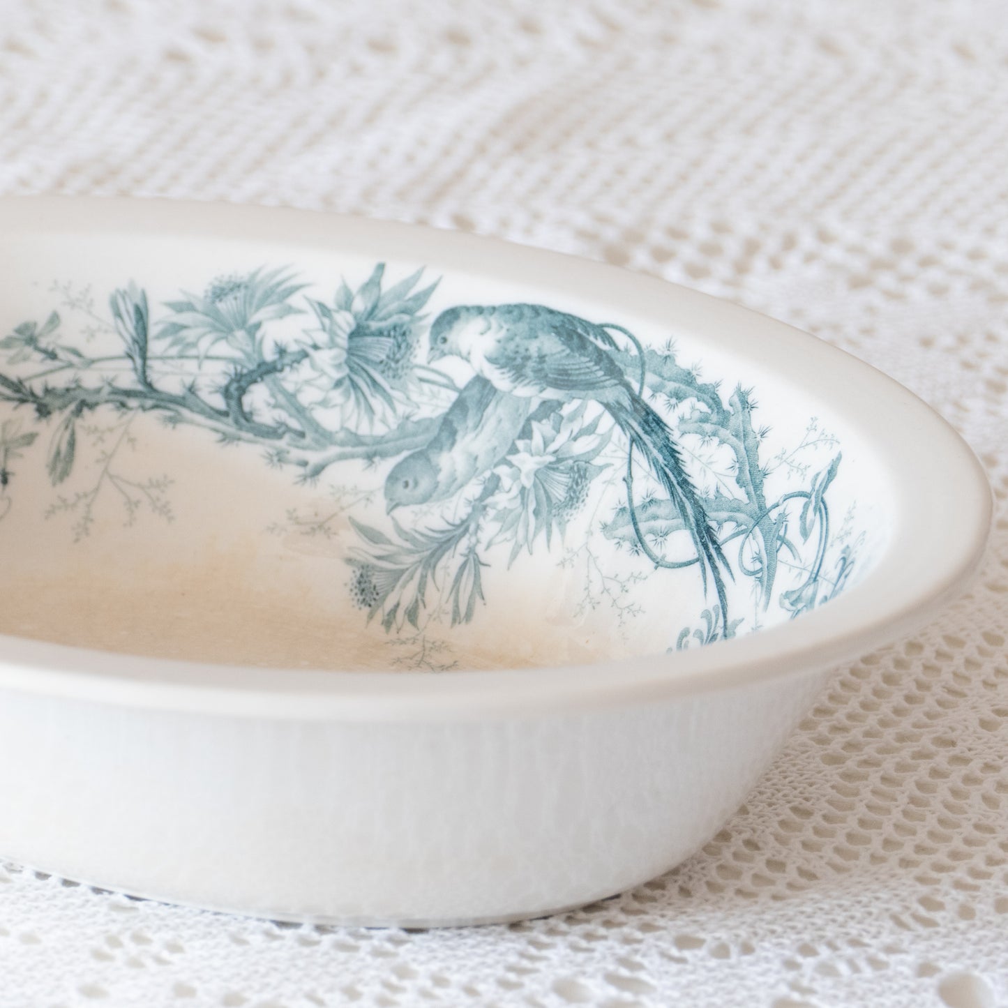 Plat creux terre de fer Villeroy & Boch - décor oiseaux