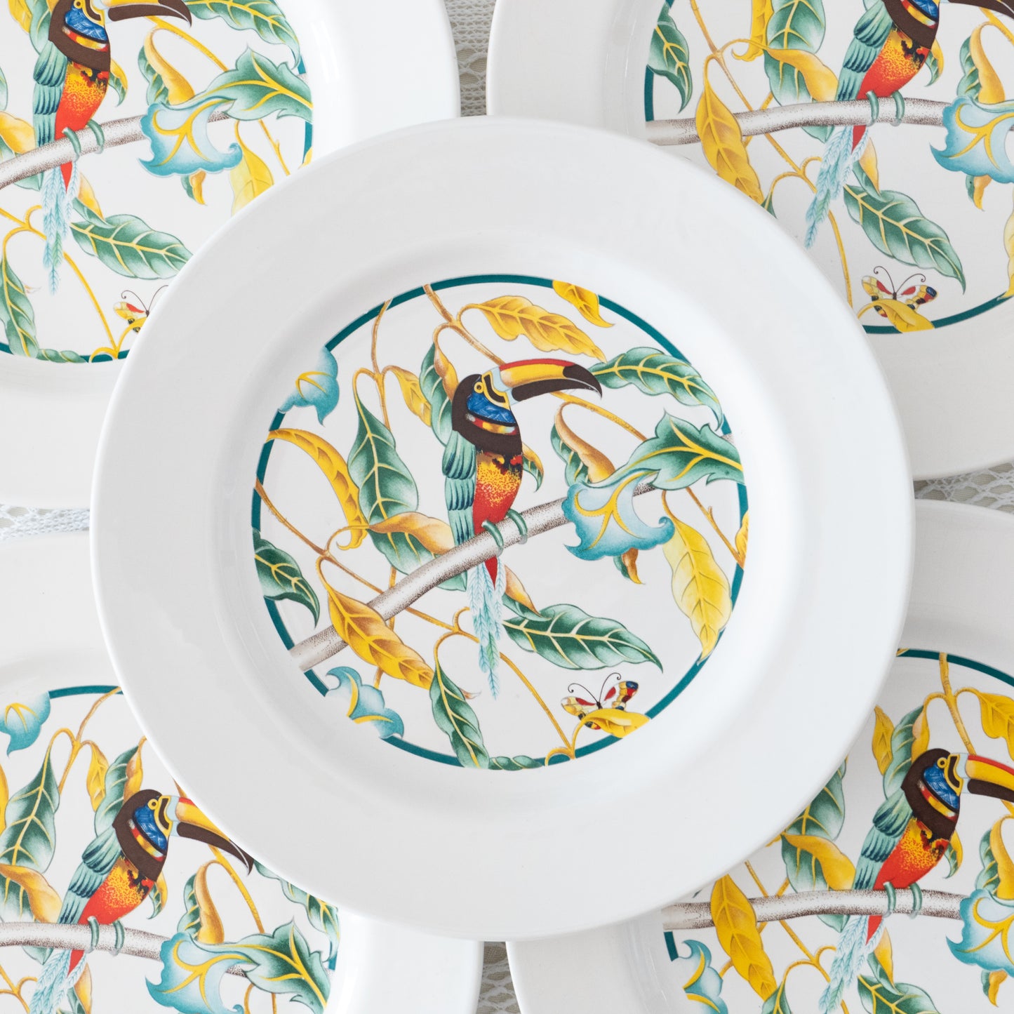 10 grandes assiettes Toucan