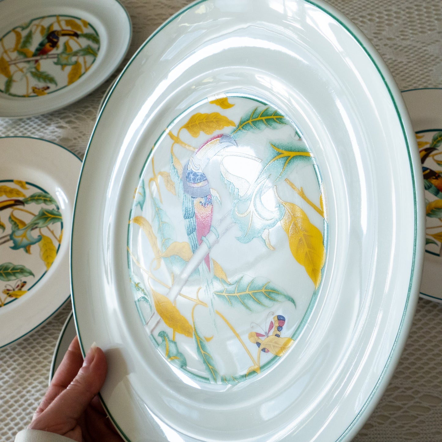 6 grandes assiettes décor Toucan avec liseré