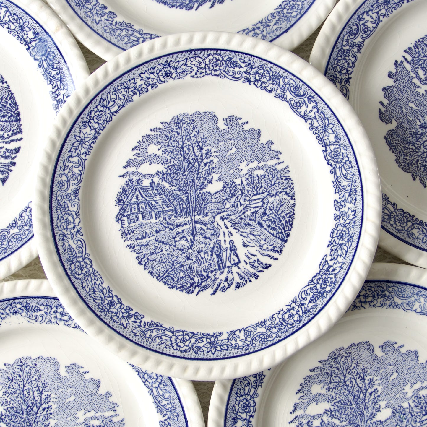 6 assiettes vintage champêtre