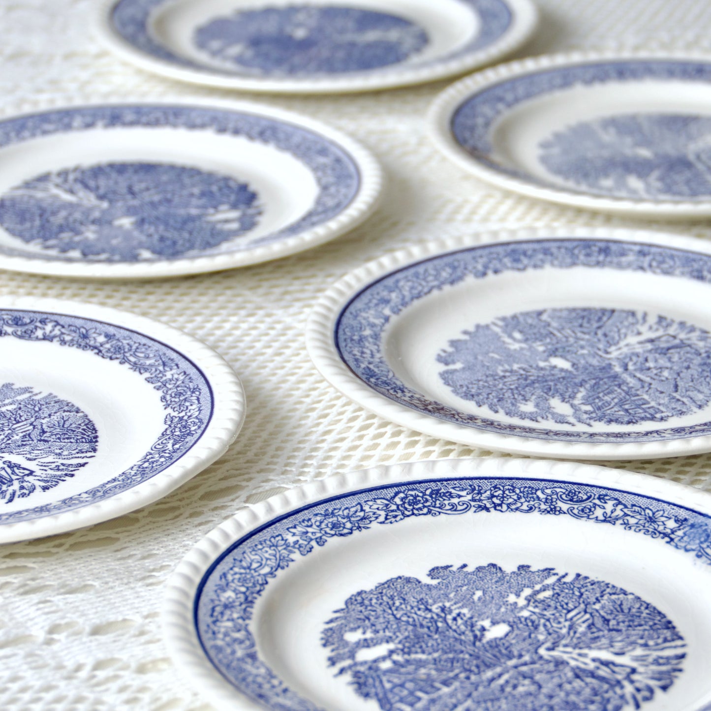 6 assiettes vintage champêtre