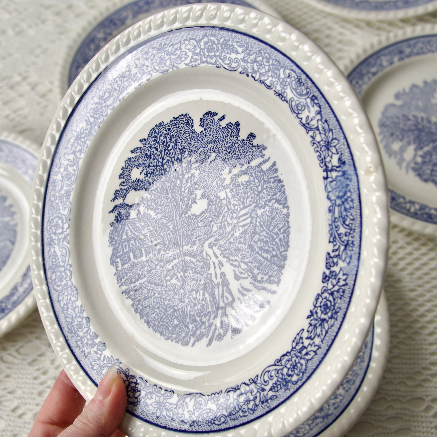 6 assiettes vintage champêtre