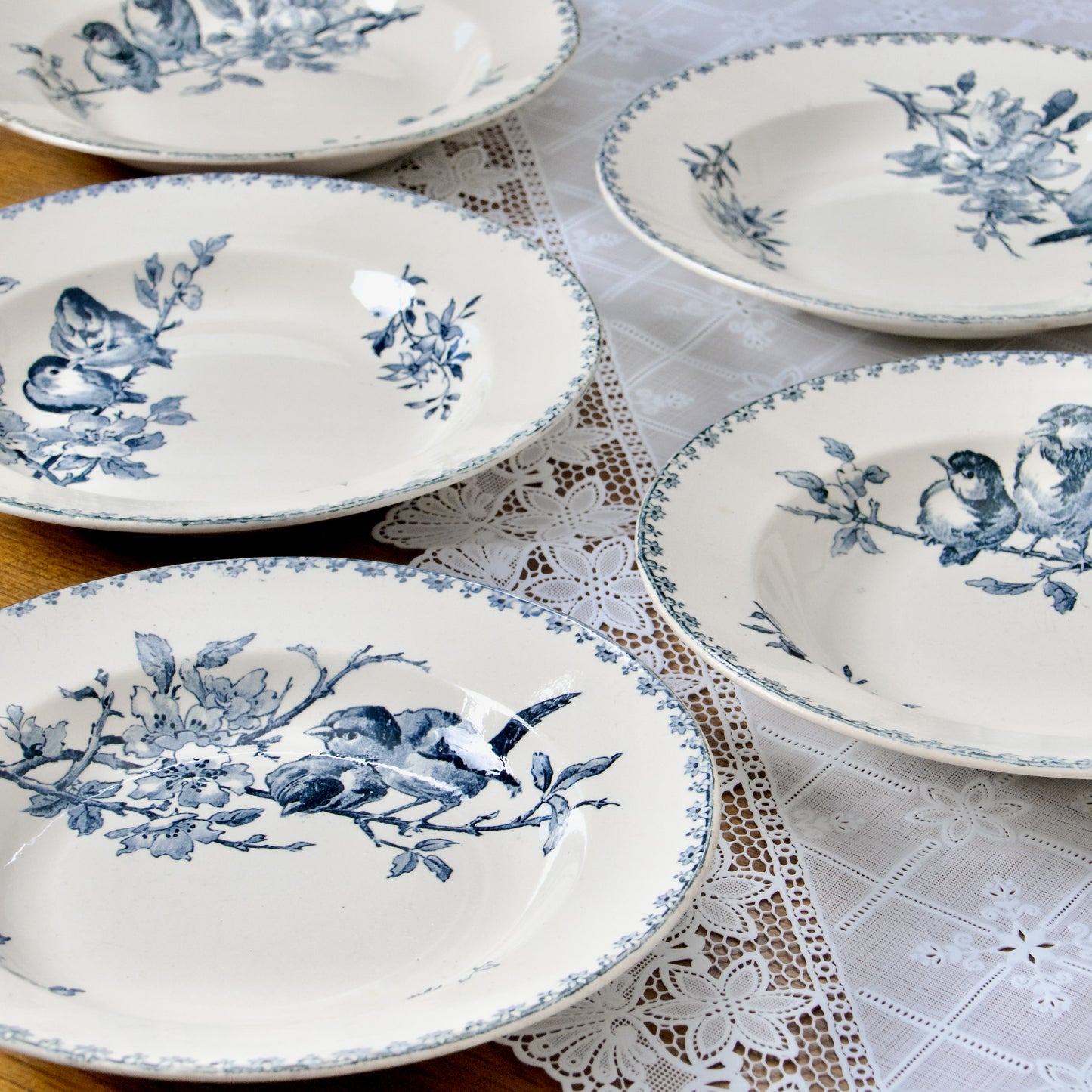 10 assiettes creuses Sarreguemines "Favori" XIXe - terre de fer