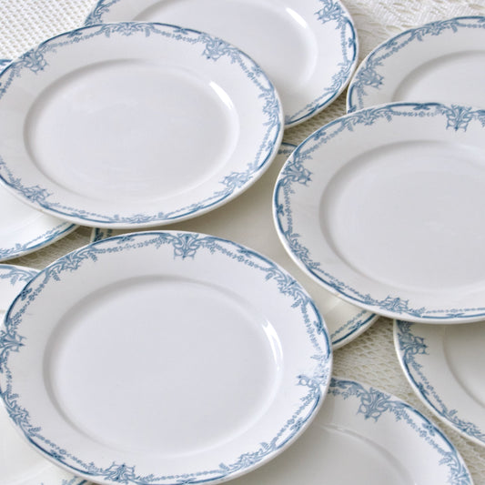 12 assiettes plates Sarreguemines "Vaucluse" - terre de fer