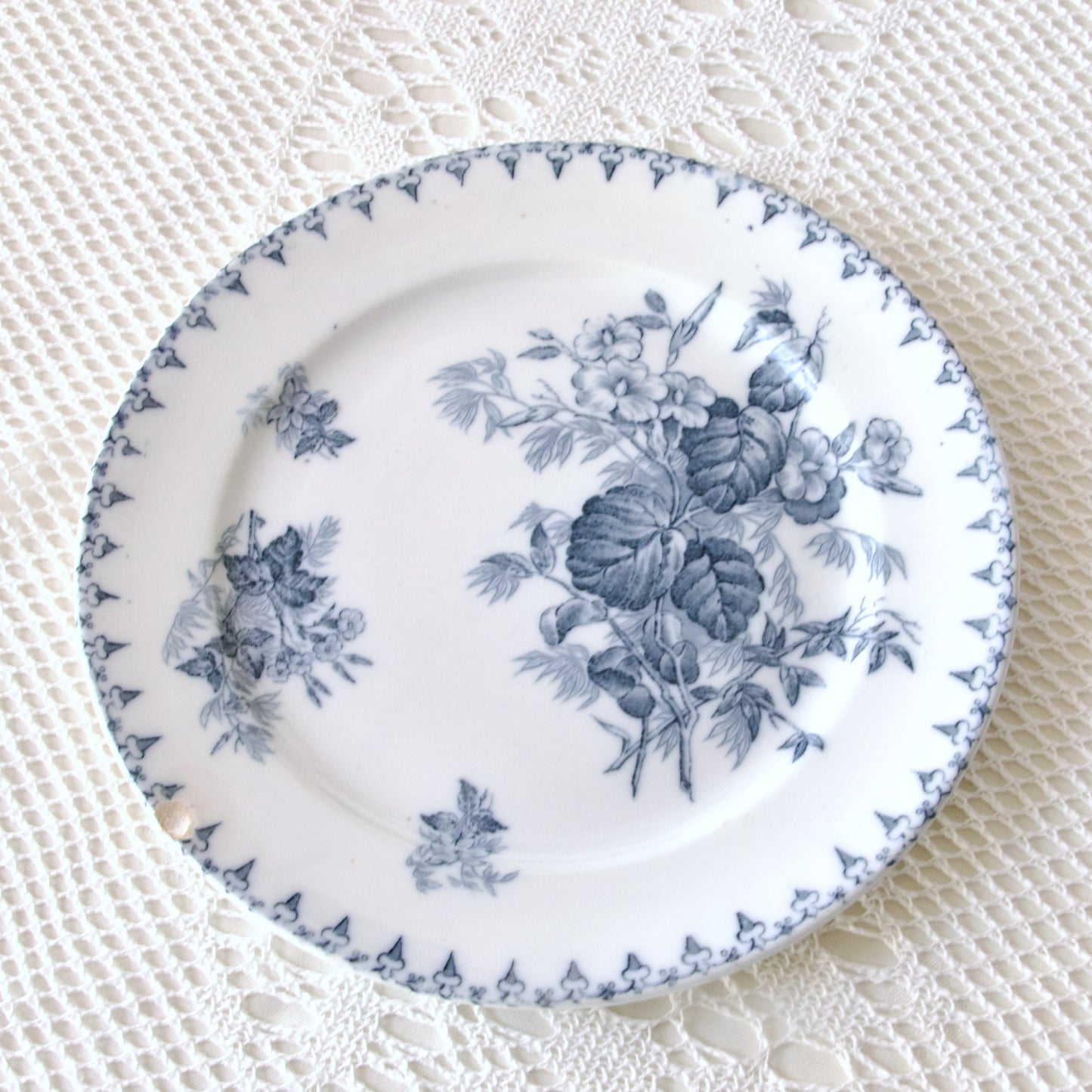 4 assiettes plates Sarreguemines "Flore" - terre de fer