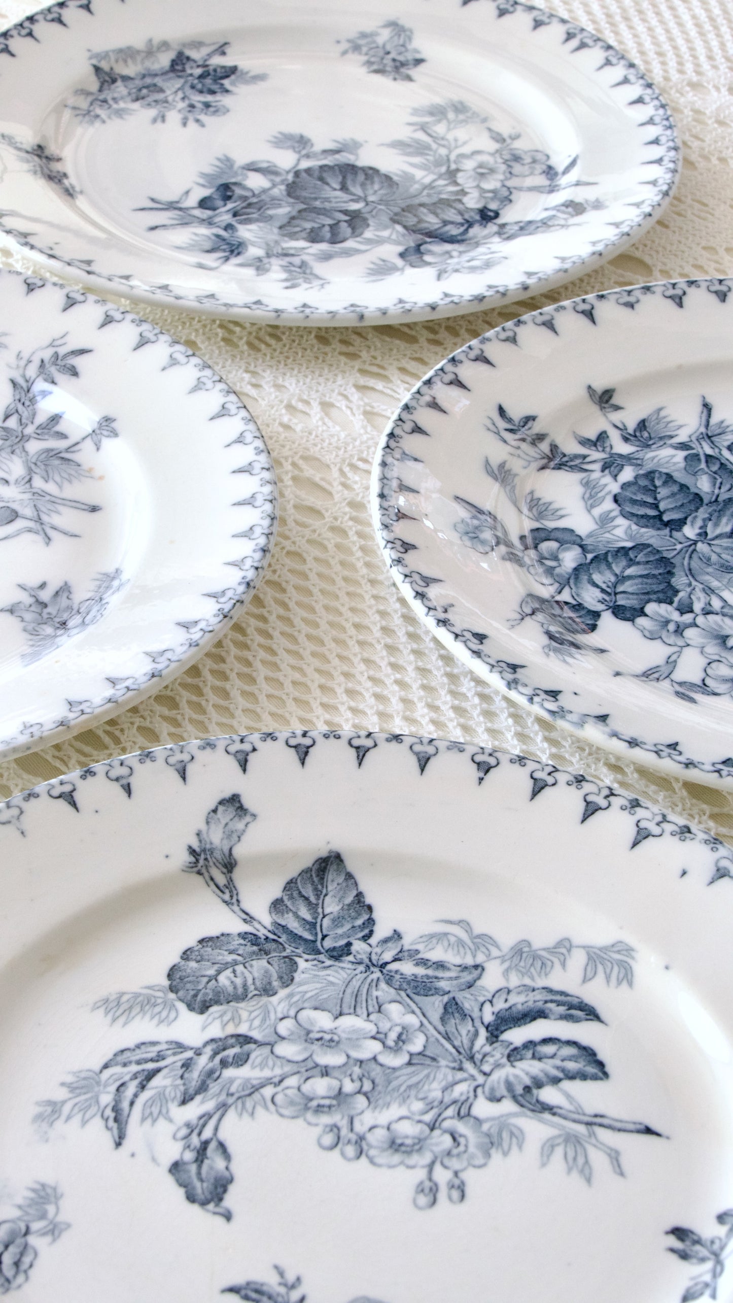 4 assiettes plates Sarreguemines "Flore" - terre de fer