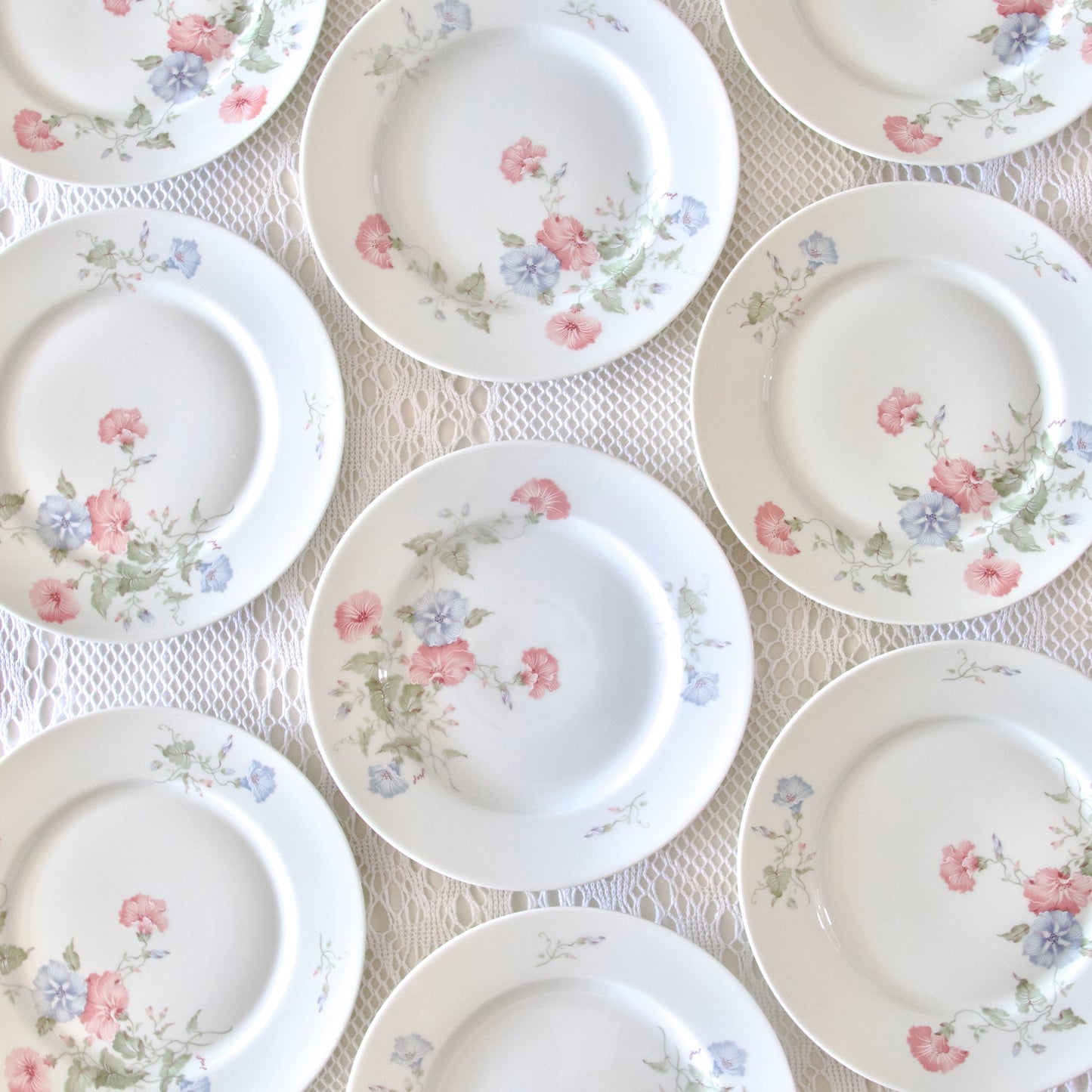 9 assiettes plates en porcelaine de Limoges Jammet Seignolles