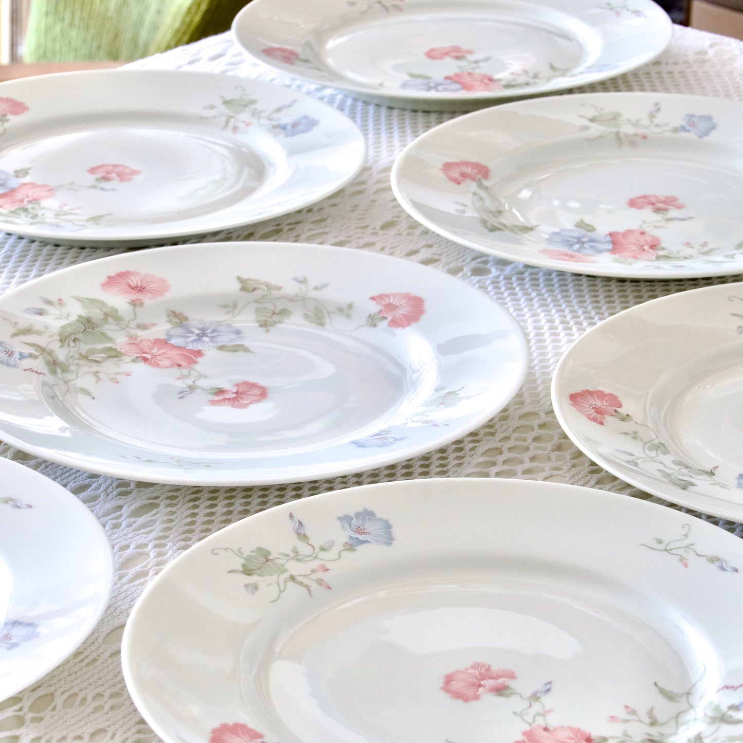 9 assiettes plates en porcelaine de Limoges Jammet Seignolles