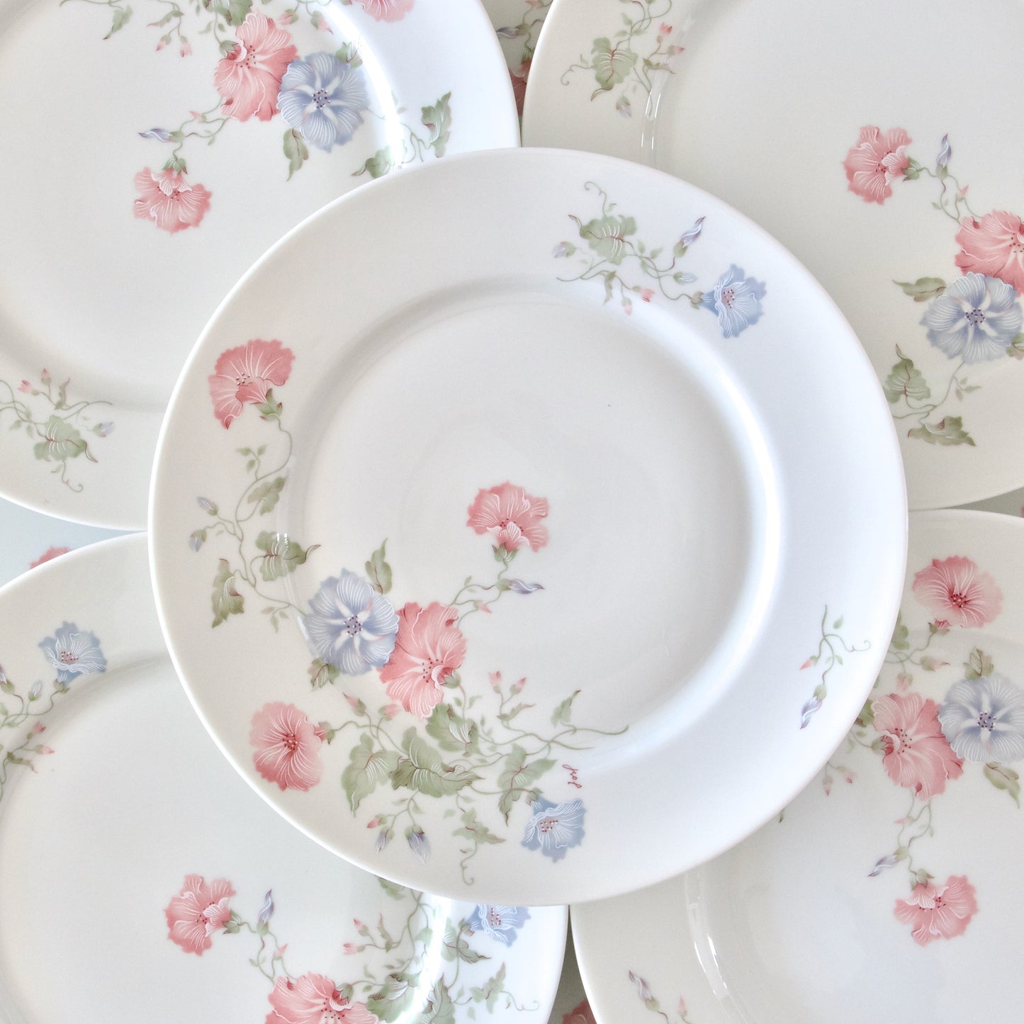 9 assiettes plates en porcelaine de Limoges Jammet Seignolles