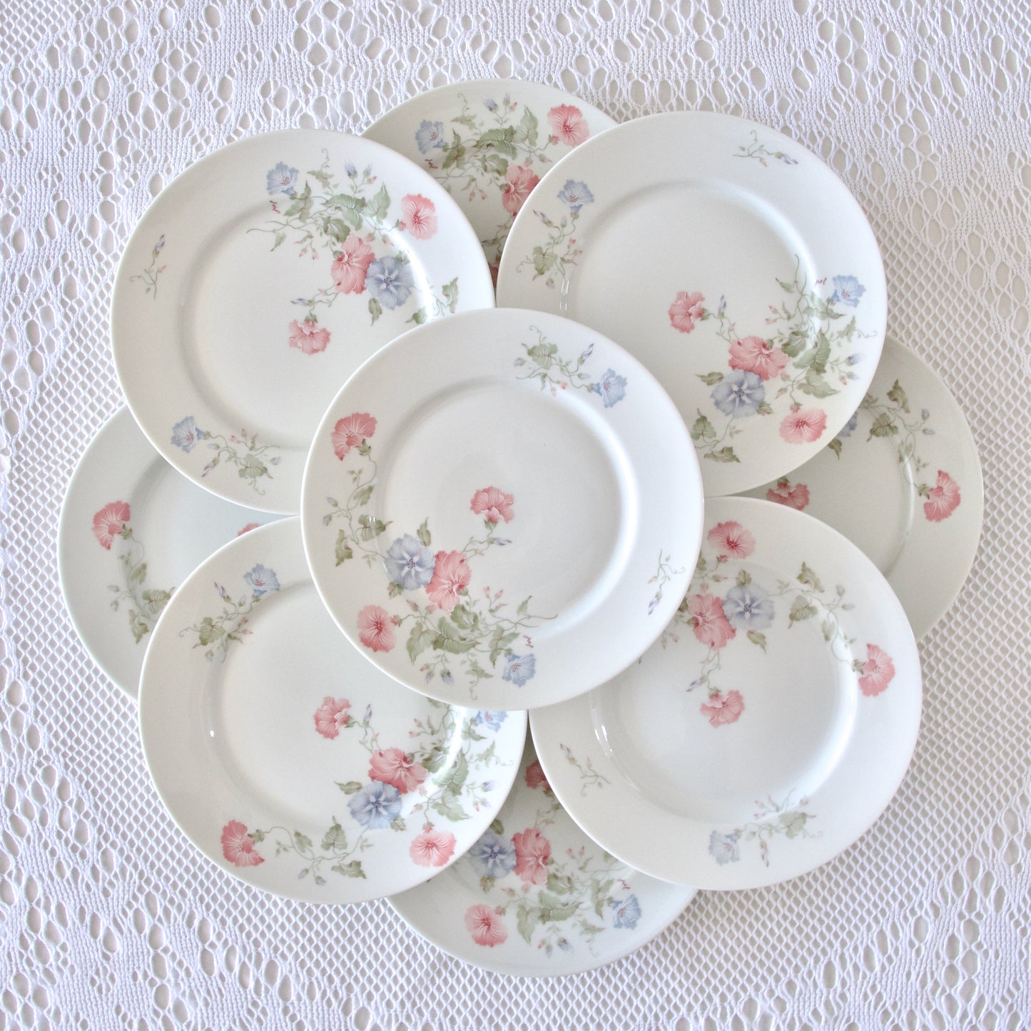 9 assiettes plates en porcelaine de Limoges Jammet Seignolles