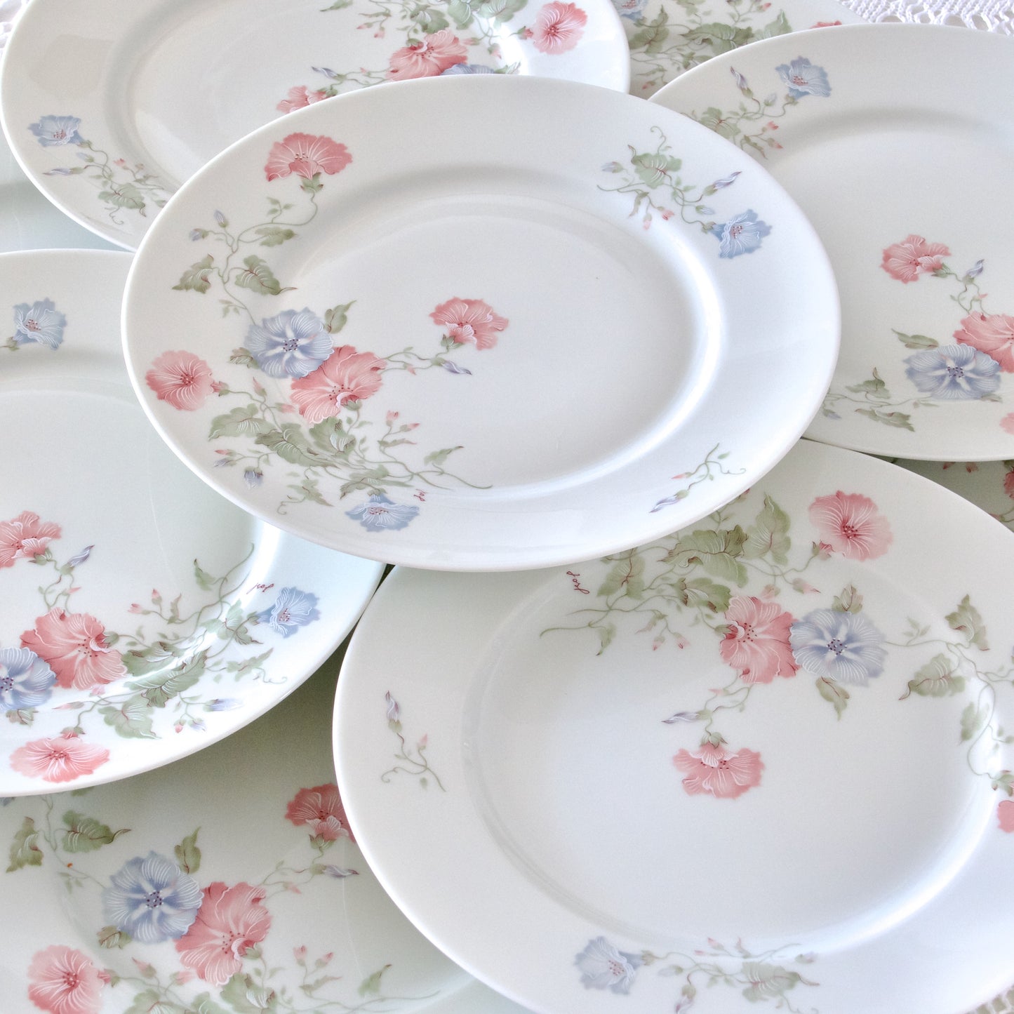 9 assiettes plates en porcelaine de Limoges Jammet Seignolles