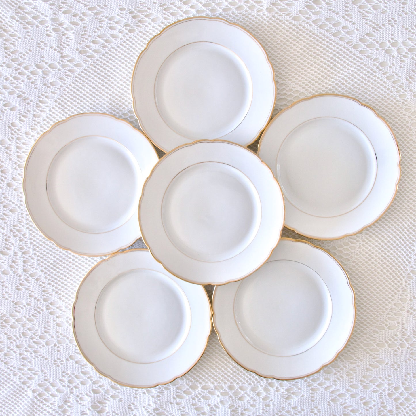 11 assiettes plates en porcelaine suisse Langenthal