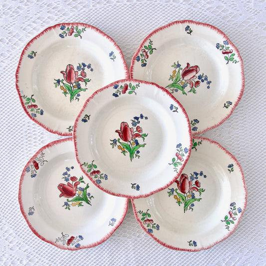 5 assiettes creuses XIXe Gien "Lorraine"