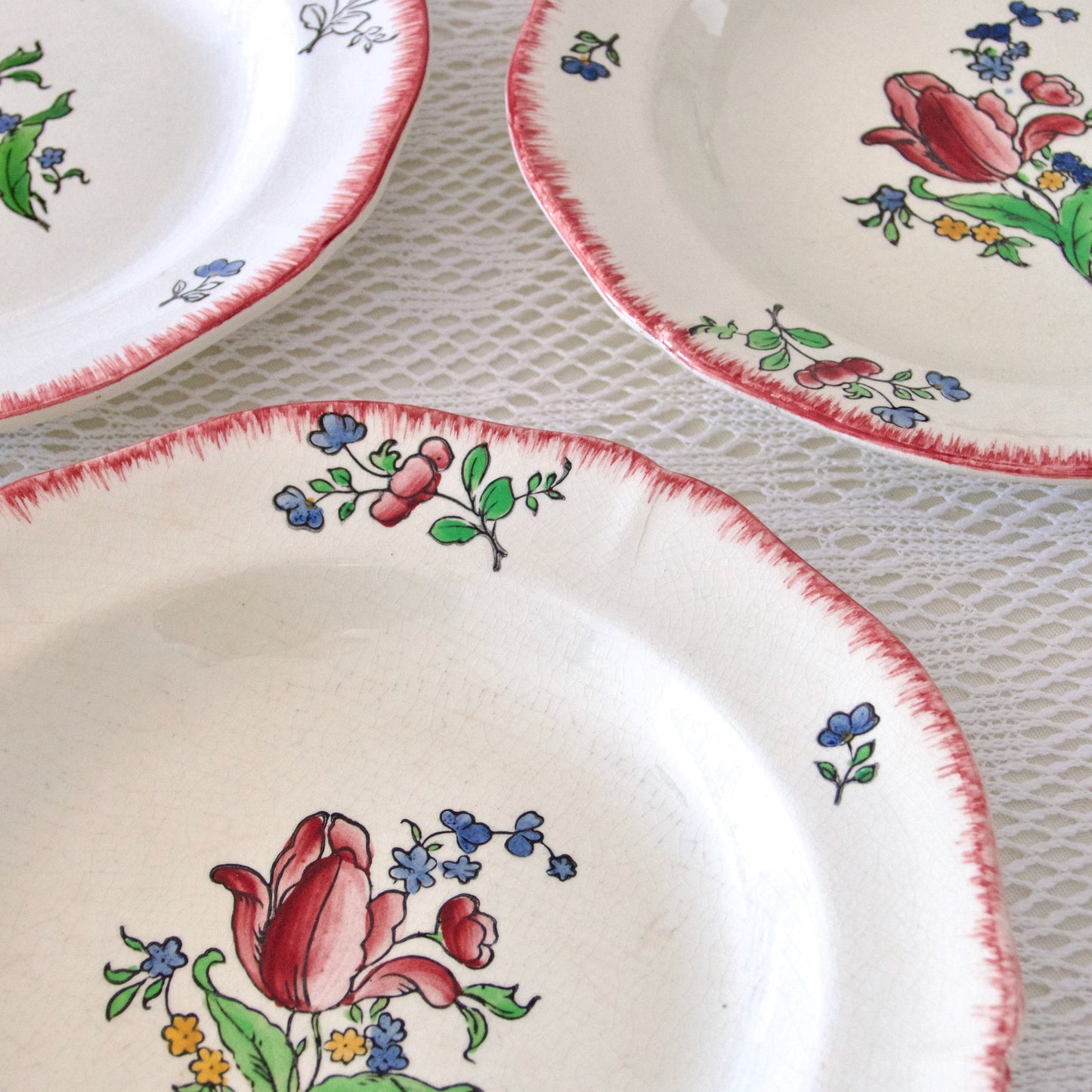 5 assiettes creuses XIXe Gien "Lorraine"