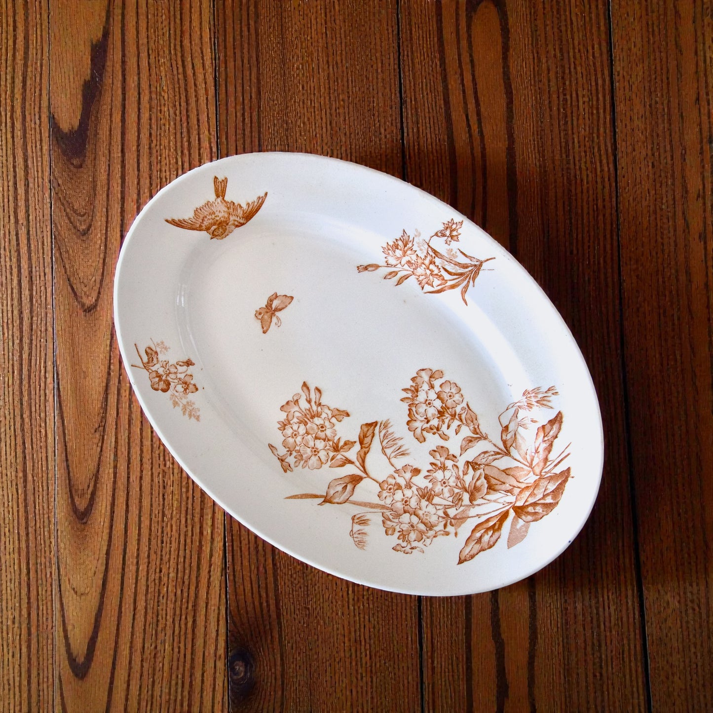 Plat ovale Longwy collection "Botanique" oiseau - terre de fer sepia