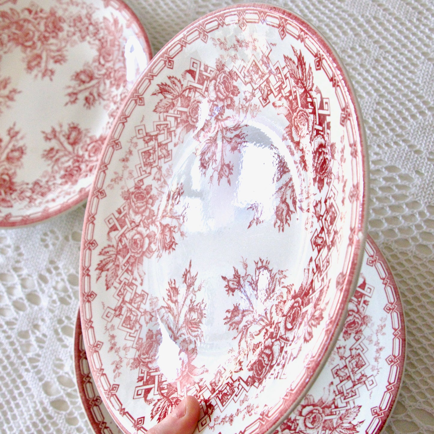 6 assiettes Sarreguemines roses grimpantes