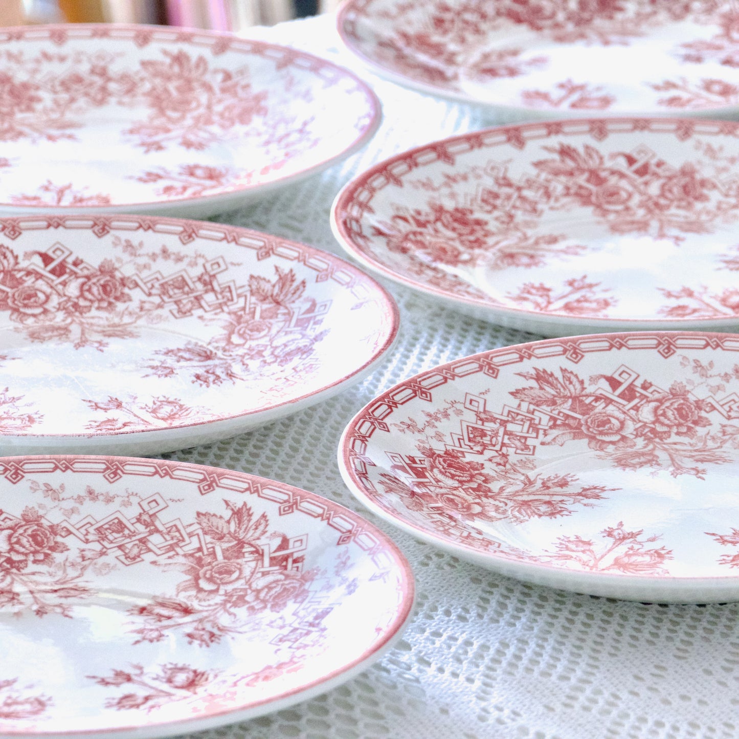 6 assiettes Sarreguemines roses grimpantes avec défauts