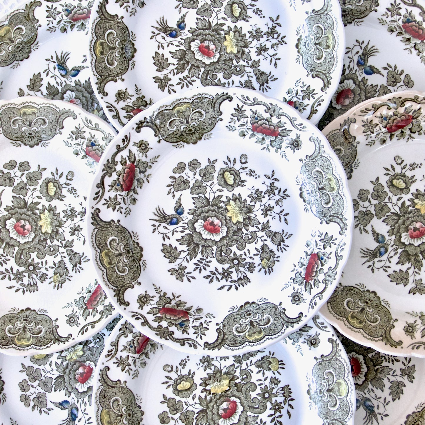 9 assiettes Ridgway Staffordshire Windsor