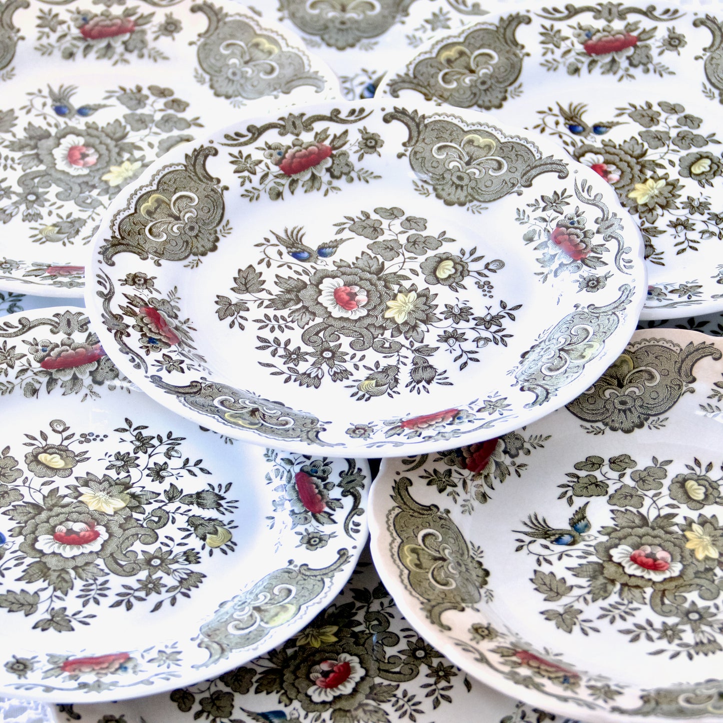 9 assiettes Ridgway Staffordshire Windsor