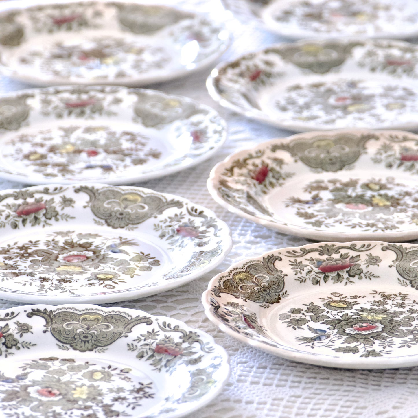 9 assiettes Ridgway Staffordshire Windsor