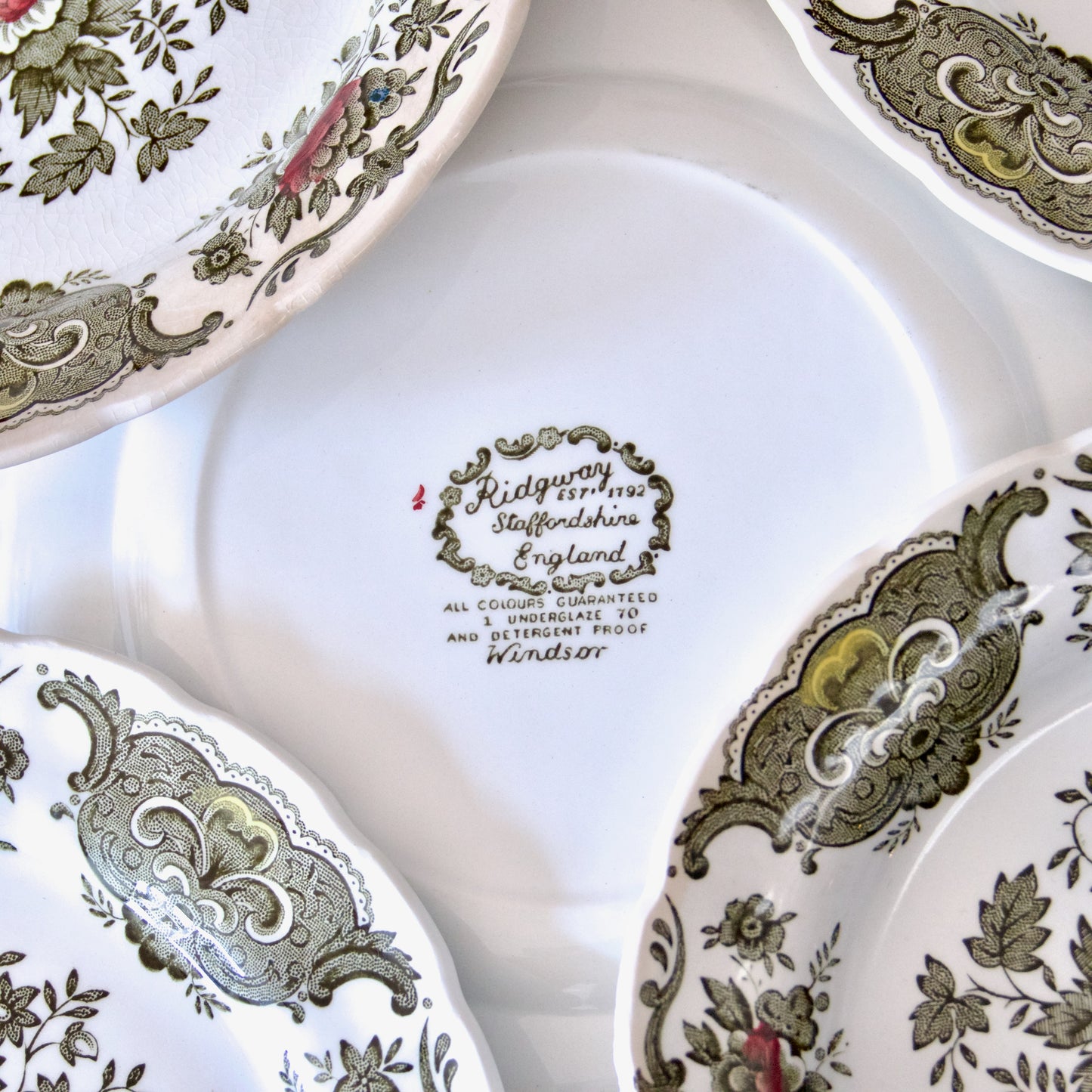 9 assiettes Ridgway Staffordshire Windsor