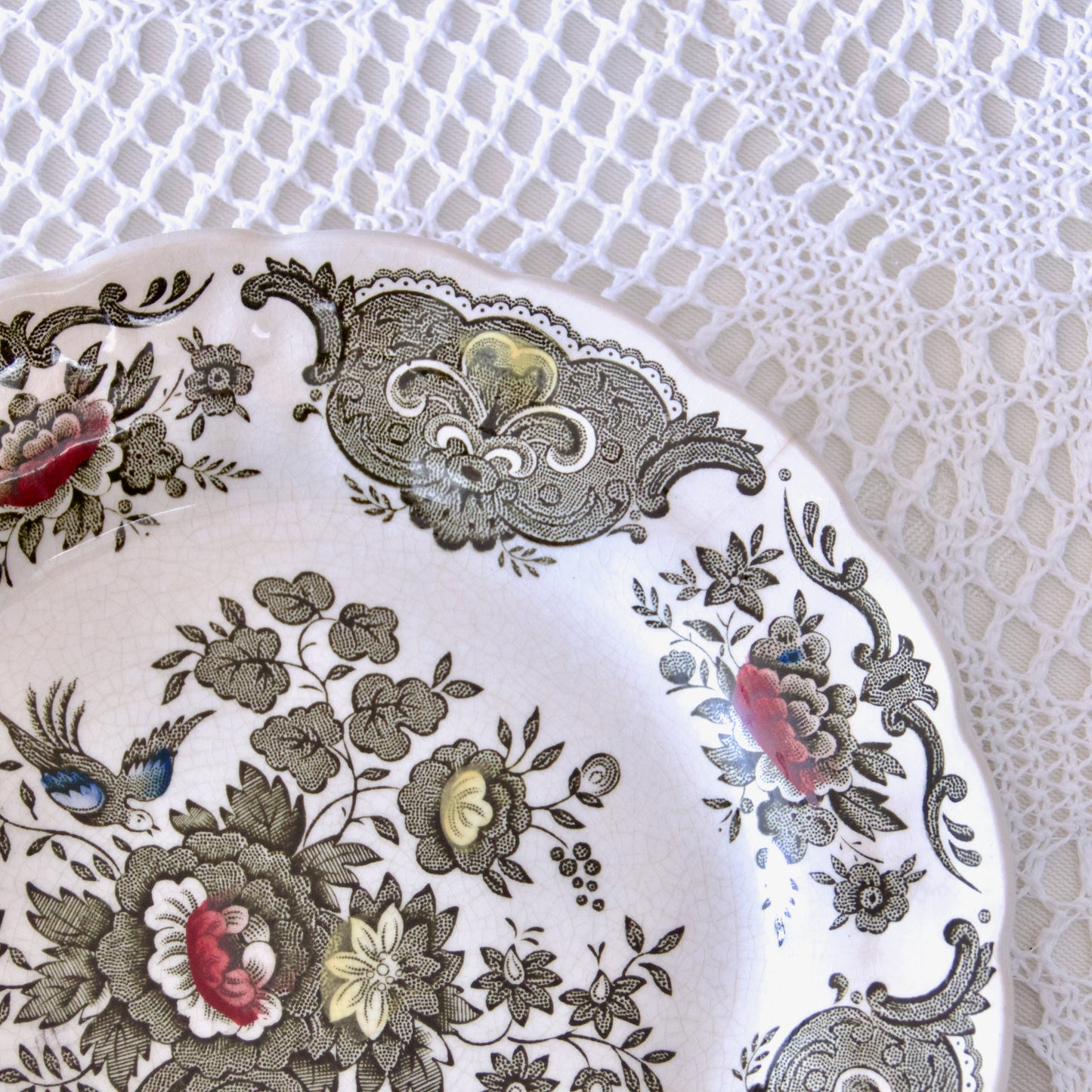 9 assiettes Ridgway Staffordshire Windsor