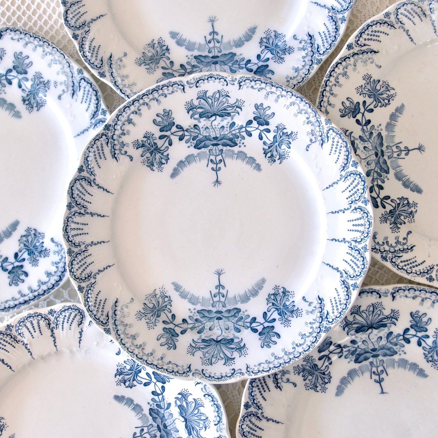 6 assiettes plates XIXe St Amand "Régence" - terre de fer