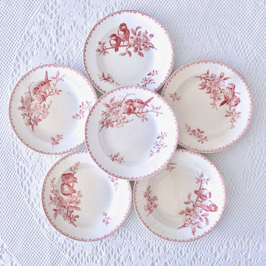 6 assiettes creuses XIXe Sarreguemines "Favori" - terre de fer rose