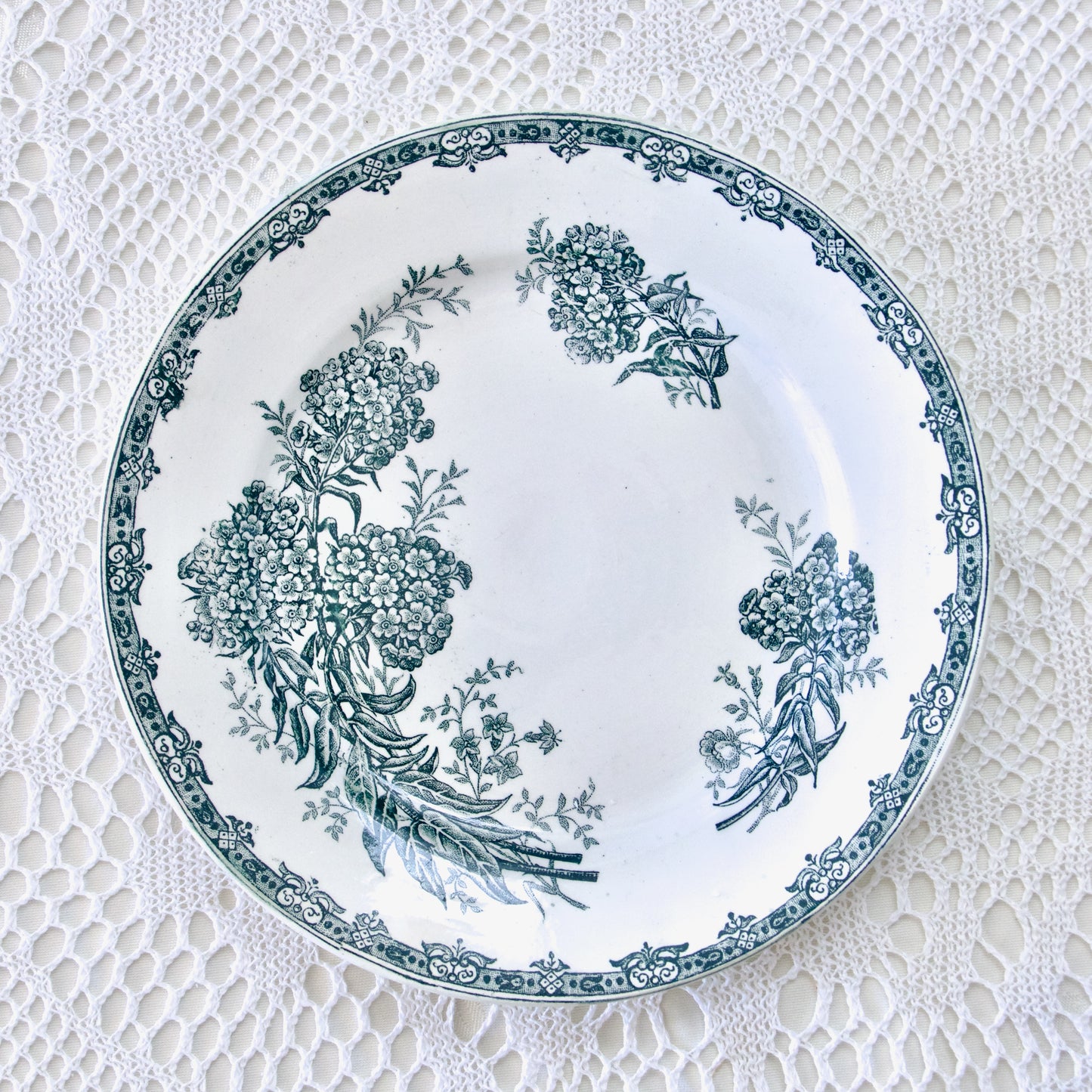 Assiette plate St Amand "Daisy" - terre de fer