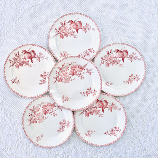 6 assiettes plates XIXe Sarreguemines "Favori" - terre de fer