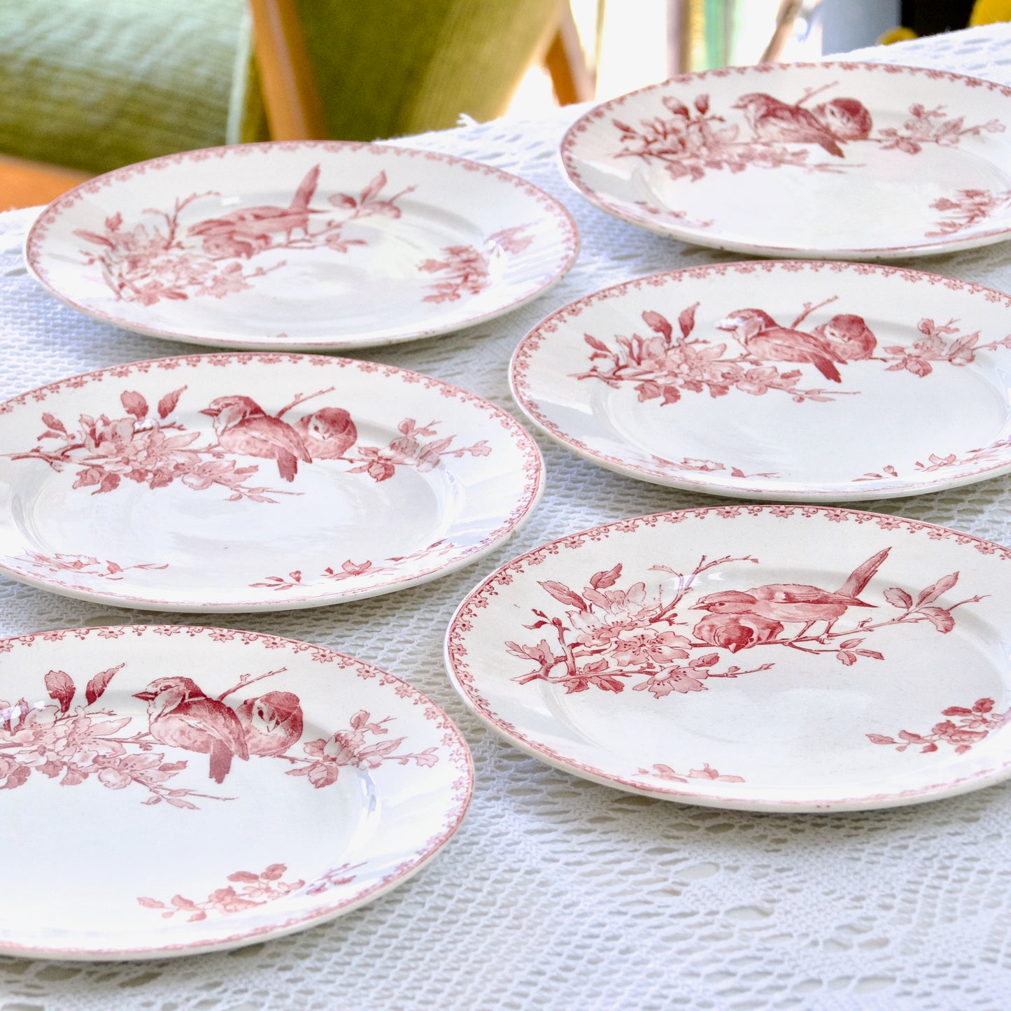 6 assiettes plates XIXe Sarreguemines "Favori" - terre de fer