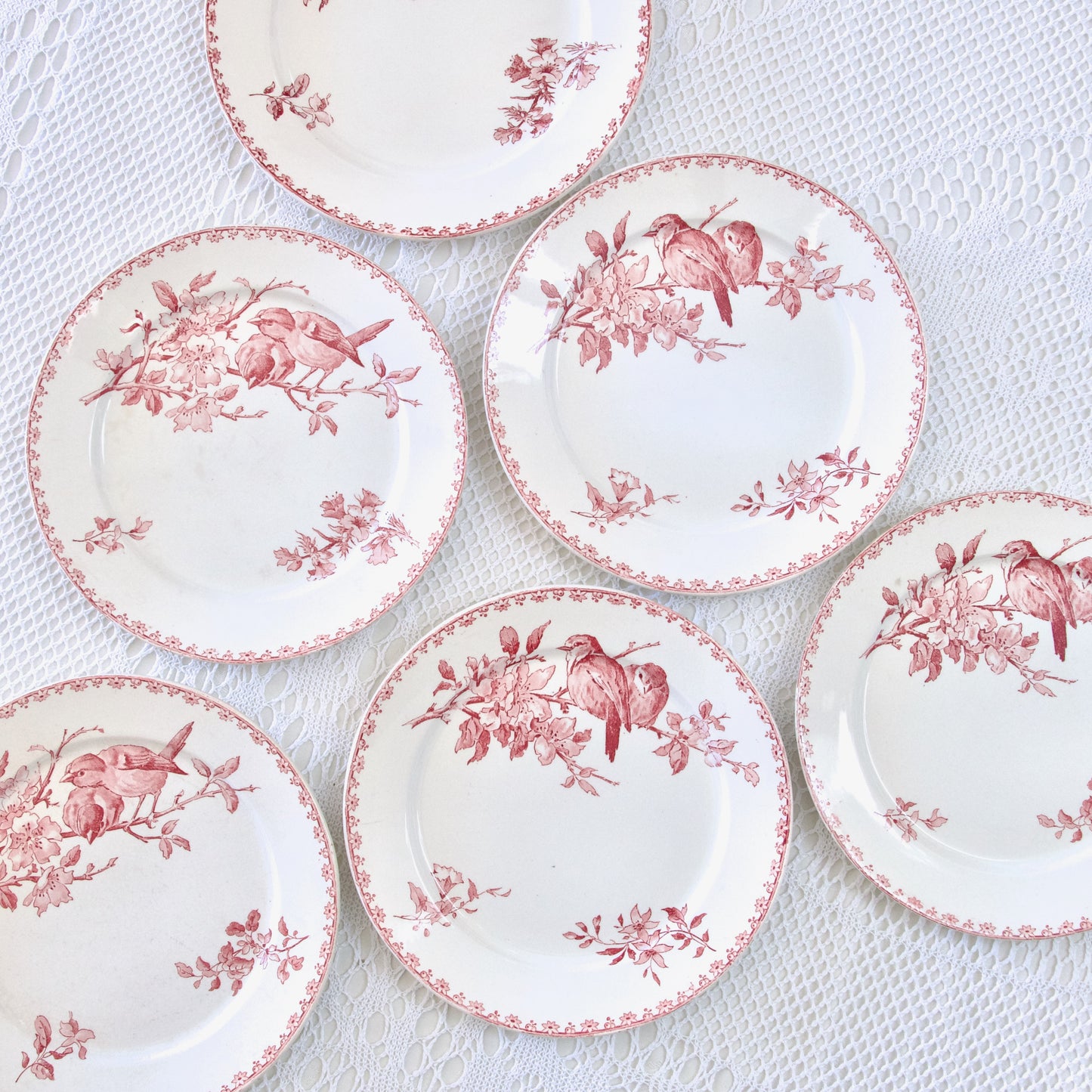 6 assiettes plates XIXe Sarreguemines "Favori" - terre de fer