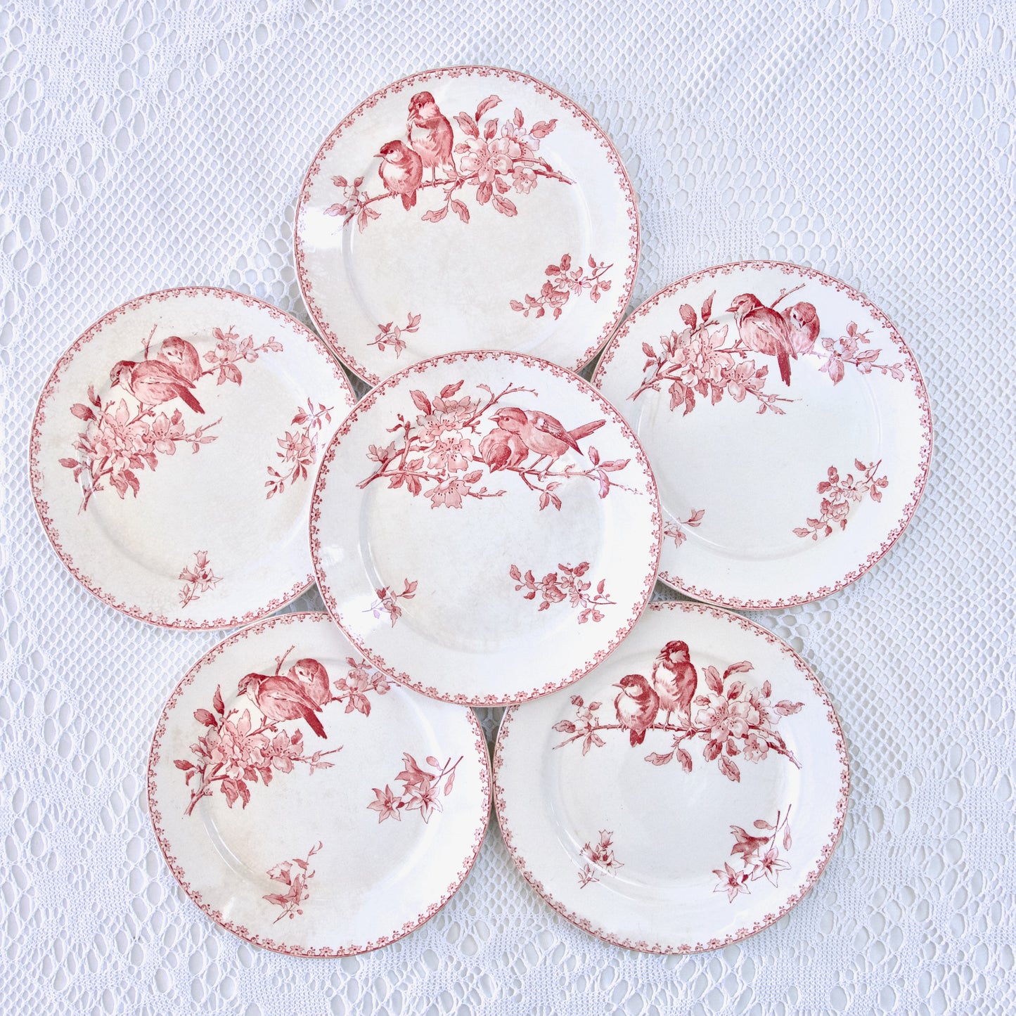 6 assiettes plates XIXe Sarreguemines "Favori" - terre de fer