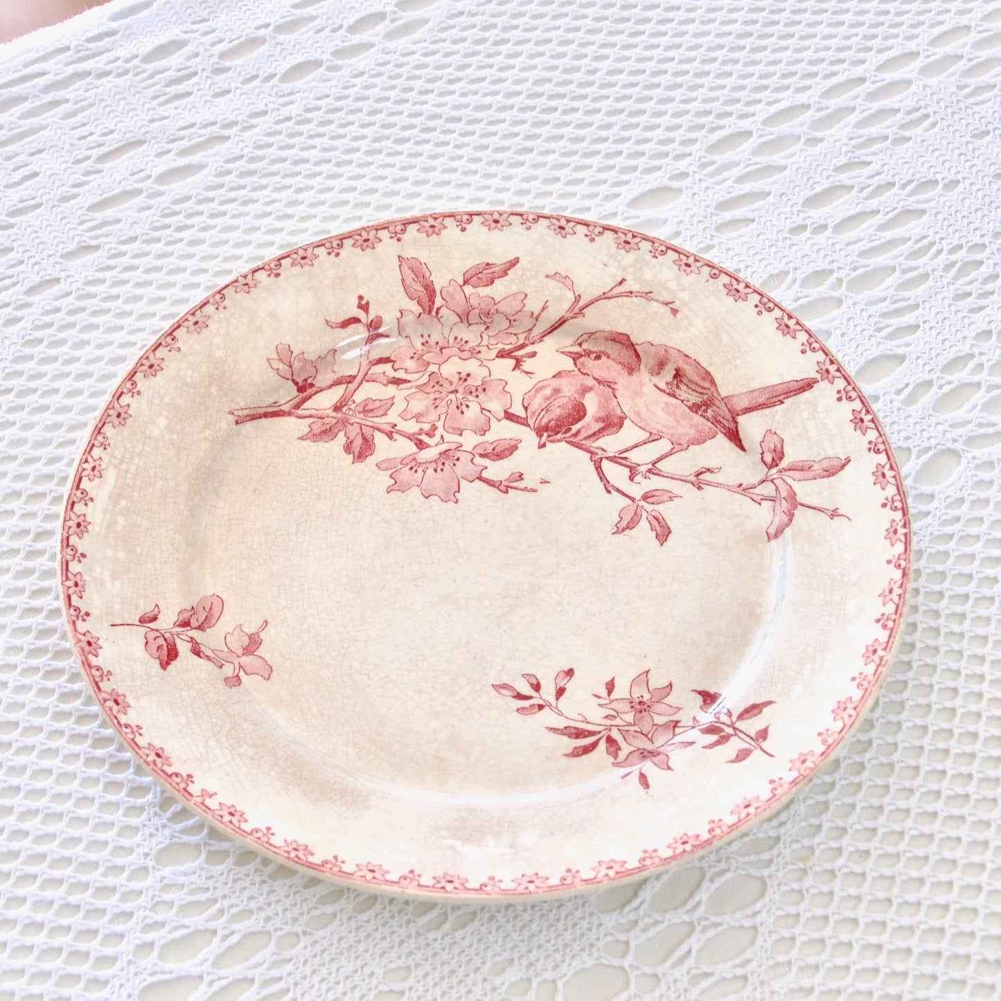 Assiette plate XIXe Sarreguemines "Favori" (patinée) - terre de fer rose