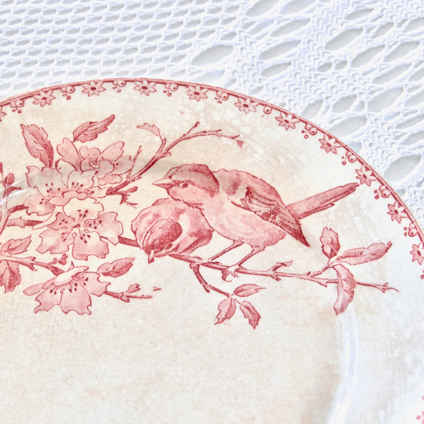 Assiette plate XIXe Sarreguemines "Favori" (patinée) - terre de fer rose