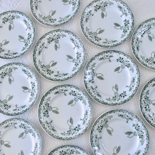 12 assiettes St Amand "Modern Style" - terre de fer