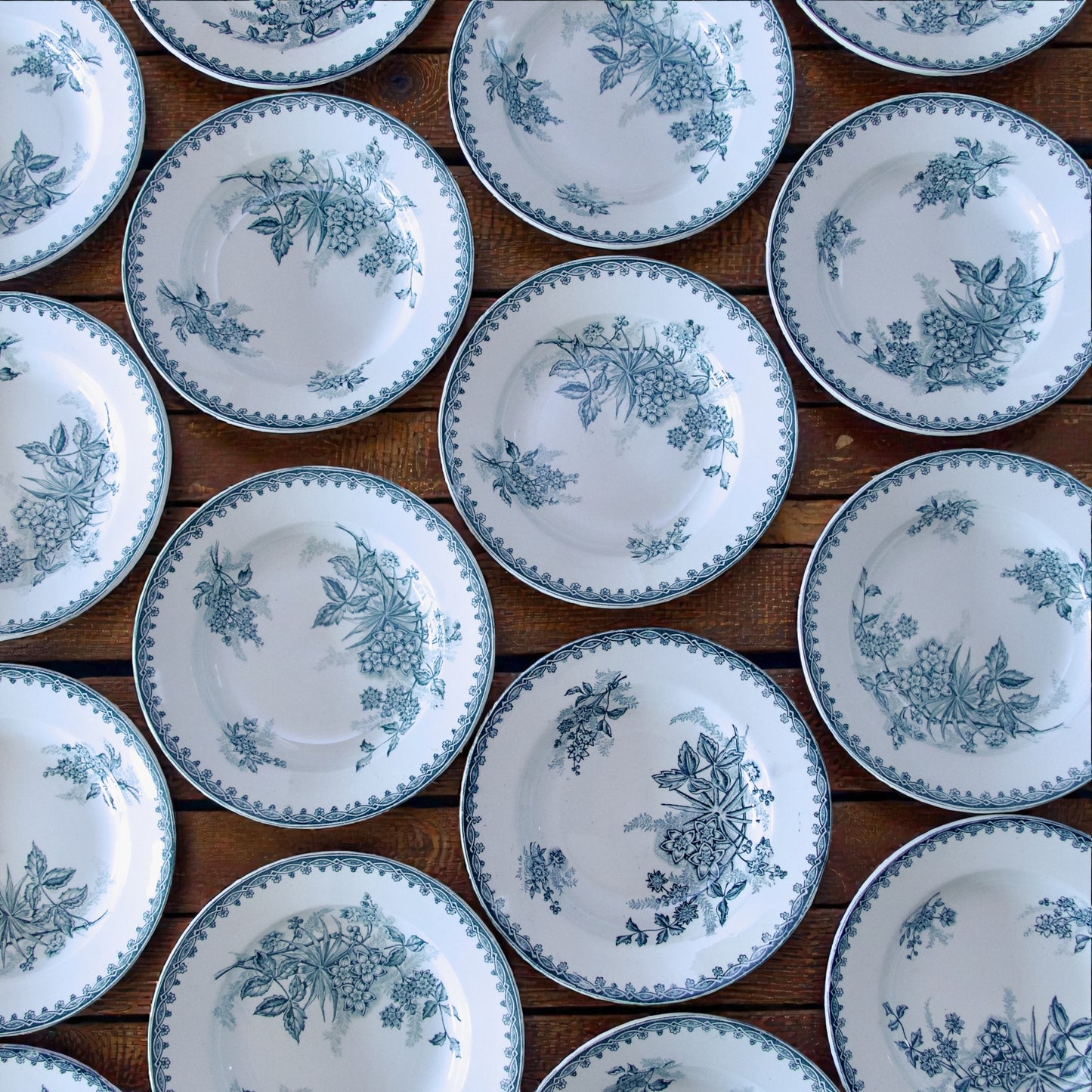 18 (par lot de 6) assiettes St Amand "Margot" - terre de fer