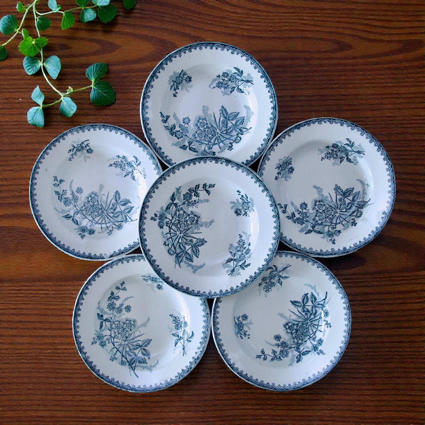 18 (par lot de 6) assiettes St Amand "Margot" - terre de fer