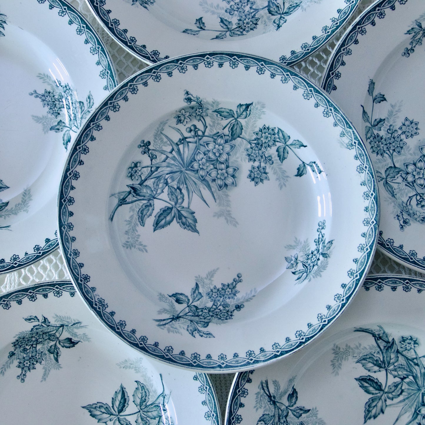 18 (par lot de 6) assiettes St Amand "Margot" - terre de fer
