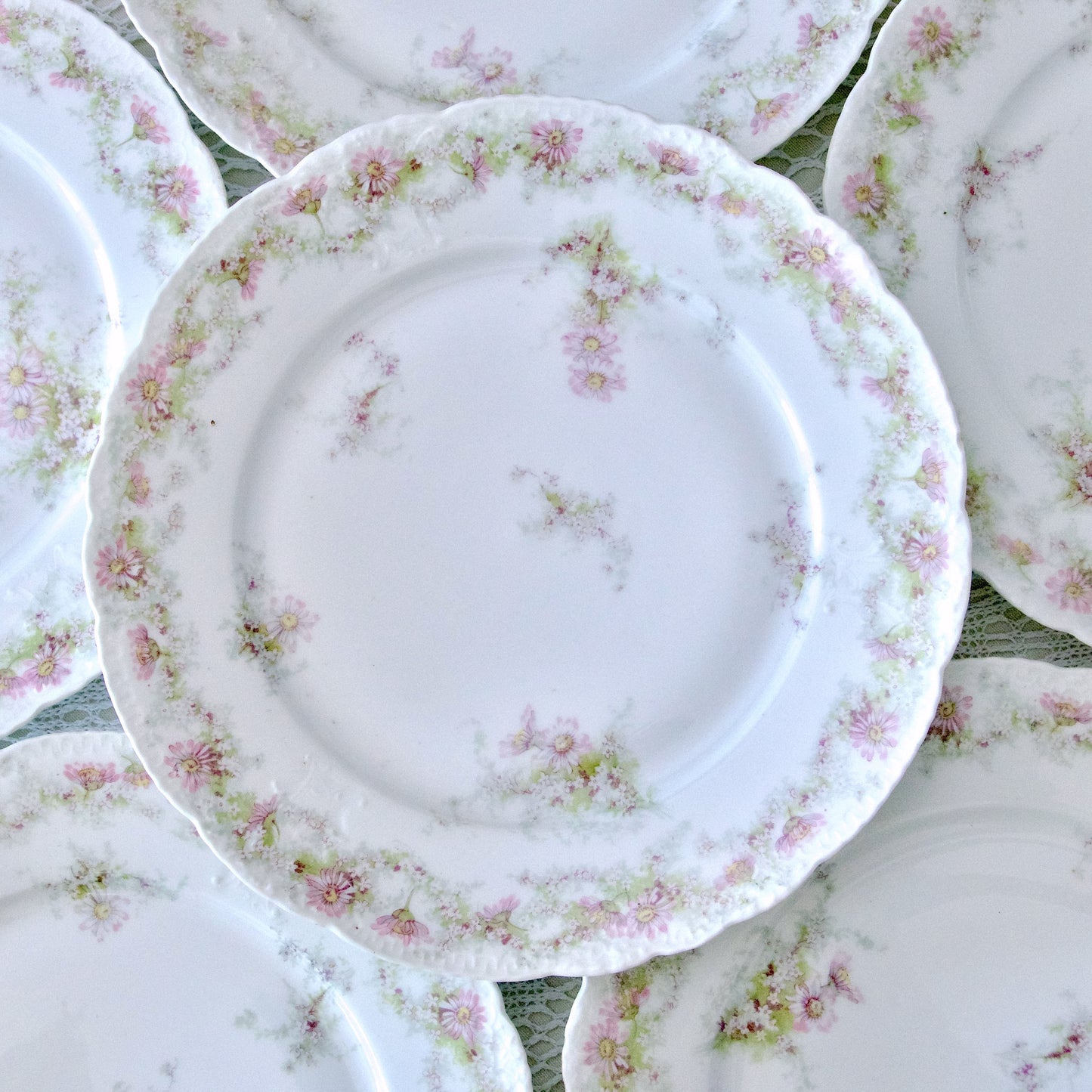 6 assiettes plates en porcelaine Emile Bourgeois Drouot Paris