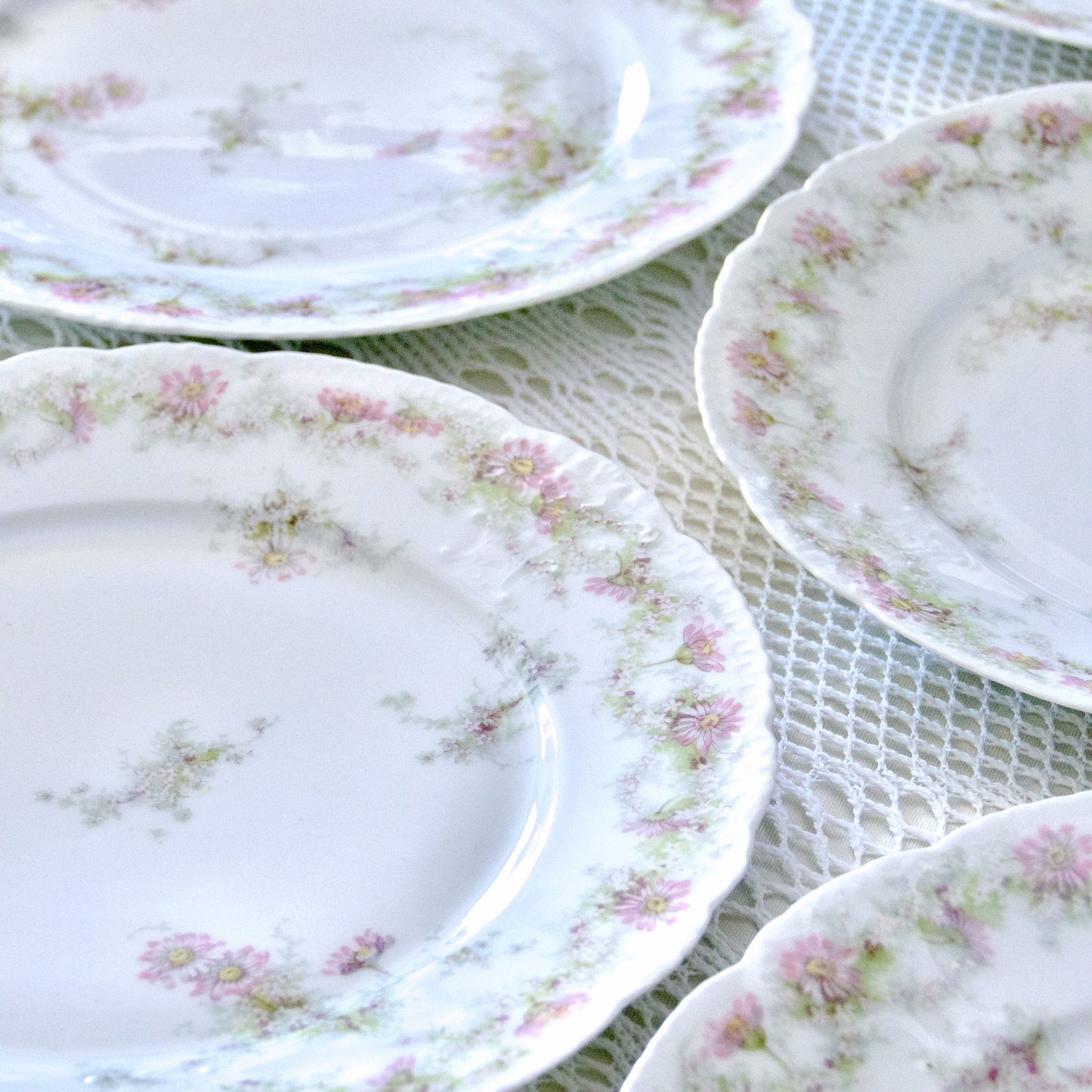 6 assiettes plates en porcelaine Emile Bourgeois Drouot Paris