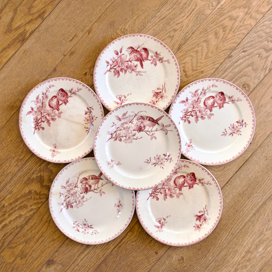 6 assiettes plates XIXe Sarreguemines "Favori" avec défauts