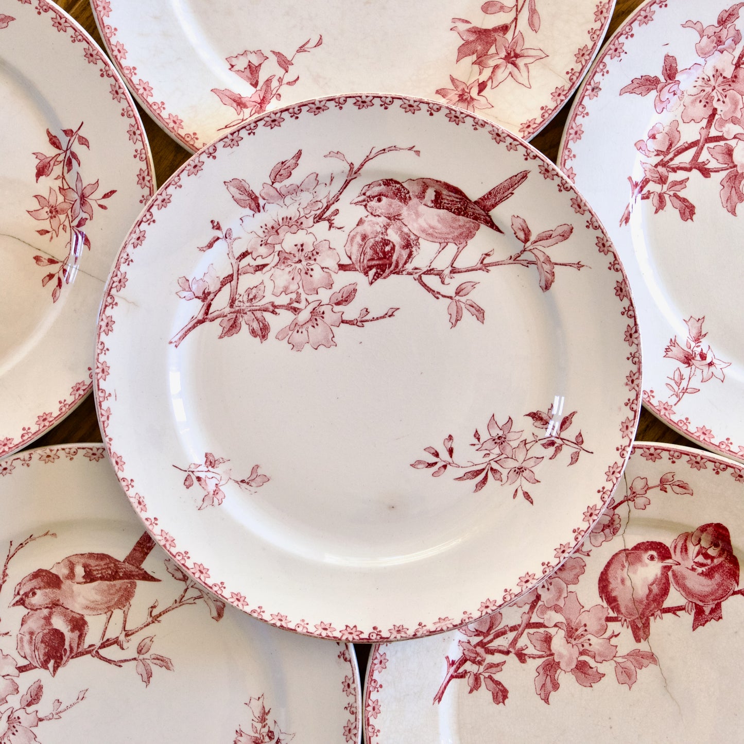 6 assiettes plates XIXe Sarreguemines "Favori" avec défauts