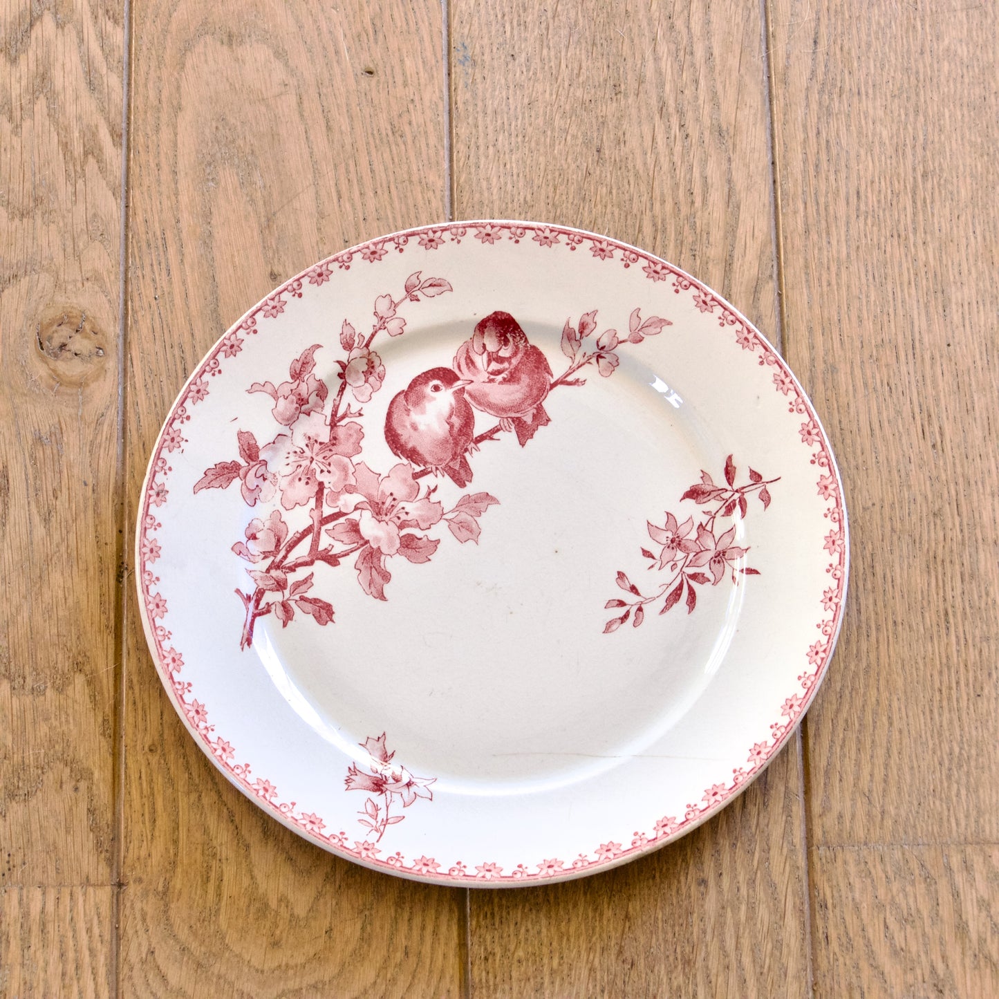 6 assiettes plates XIXe Sarreguemines "Favori" avec défauts