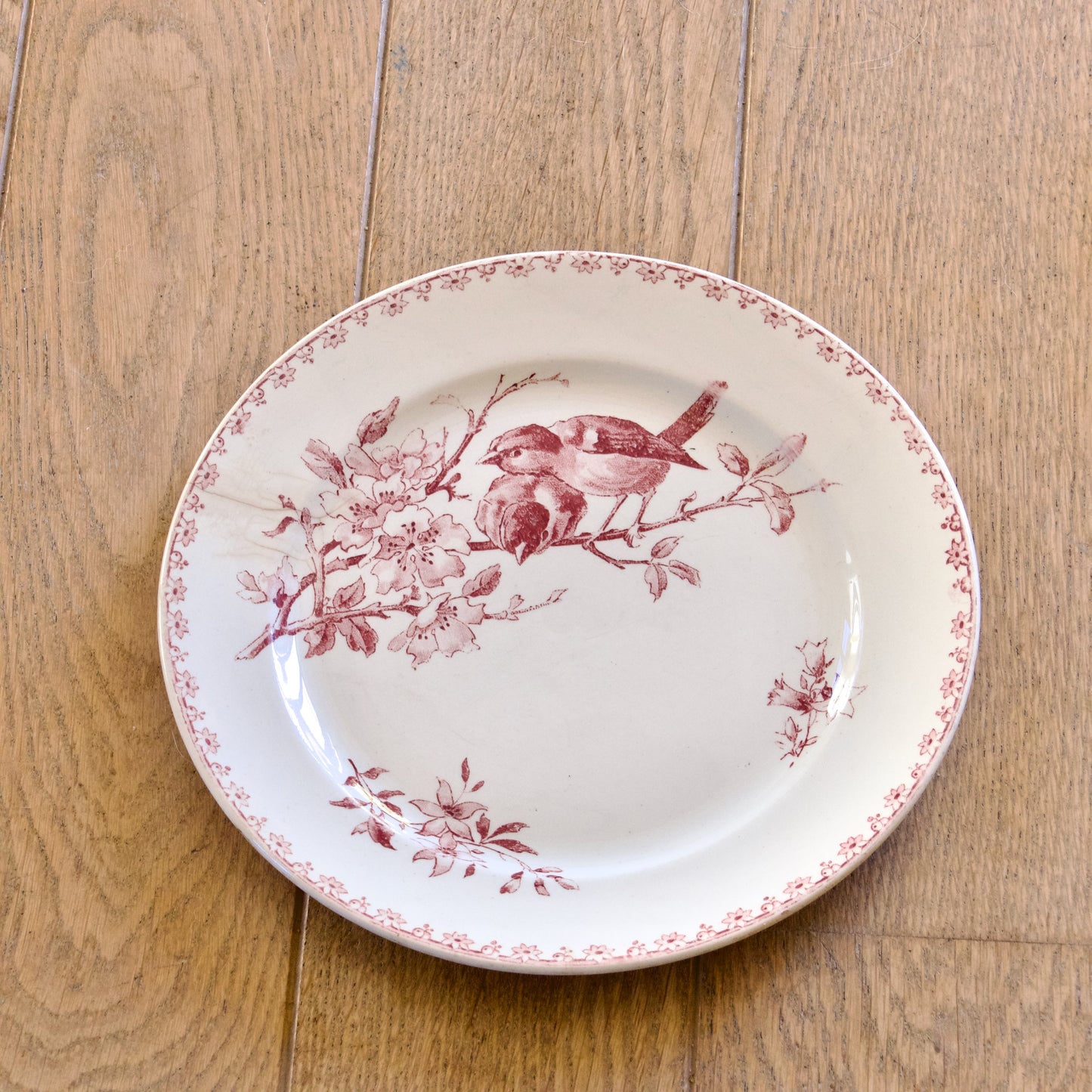 6 assiettes plates XIXe Sarreguemines "Favori" avec défauts