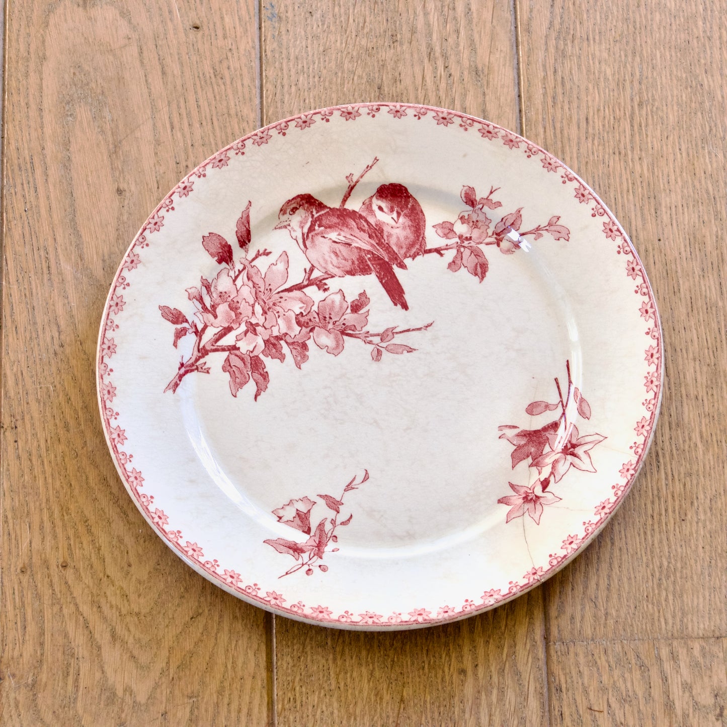 6 assiettes plates XIXe Sarreguemines "Favori" avec défauts