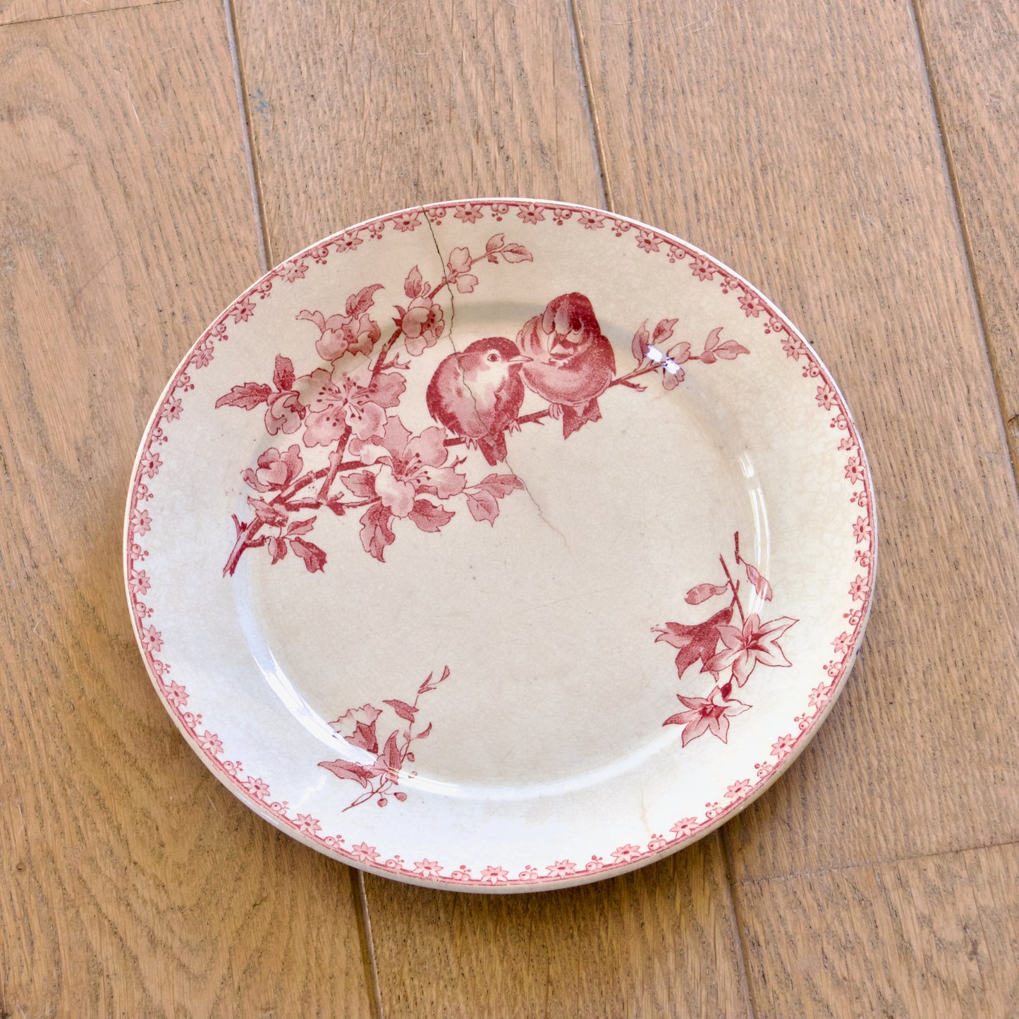 6 assiettes plates XIXe Sarreguemines "Favori" avec défauts